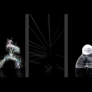 Tai Chi: 5 Video Artworks